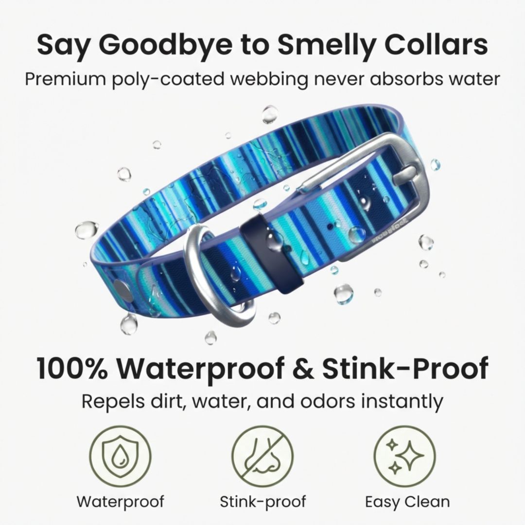 Colorful Waterproof Dog Collar