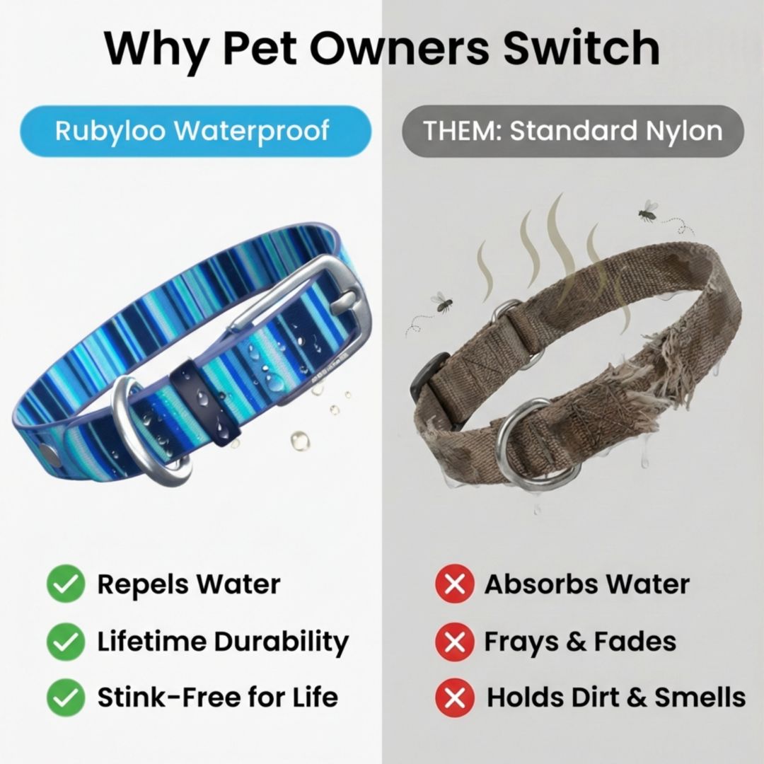 Colorful Waterproof Dog Collar