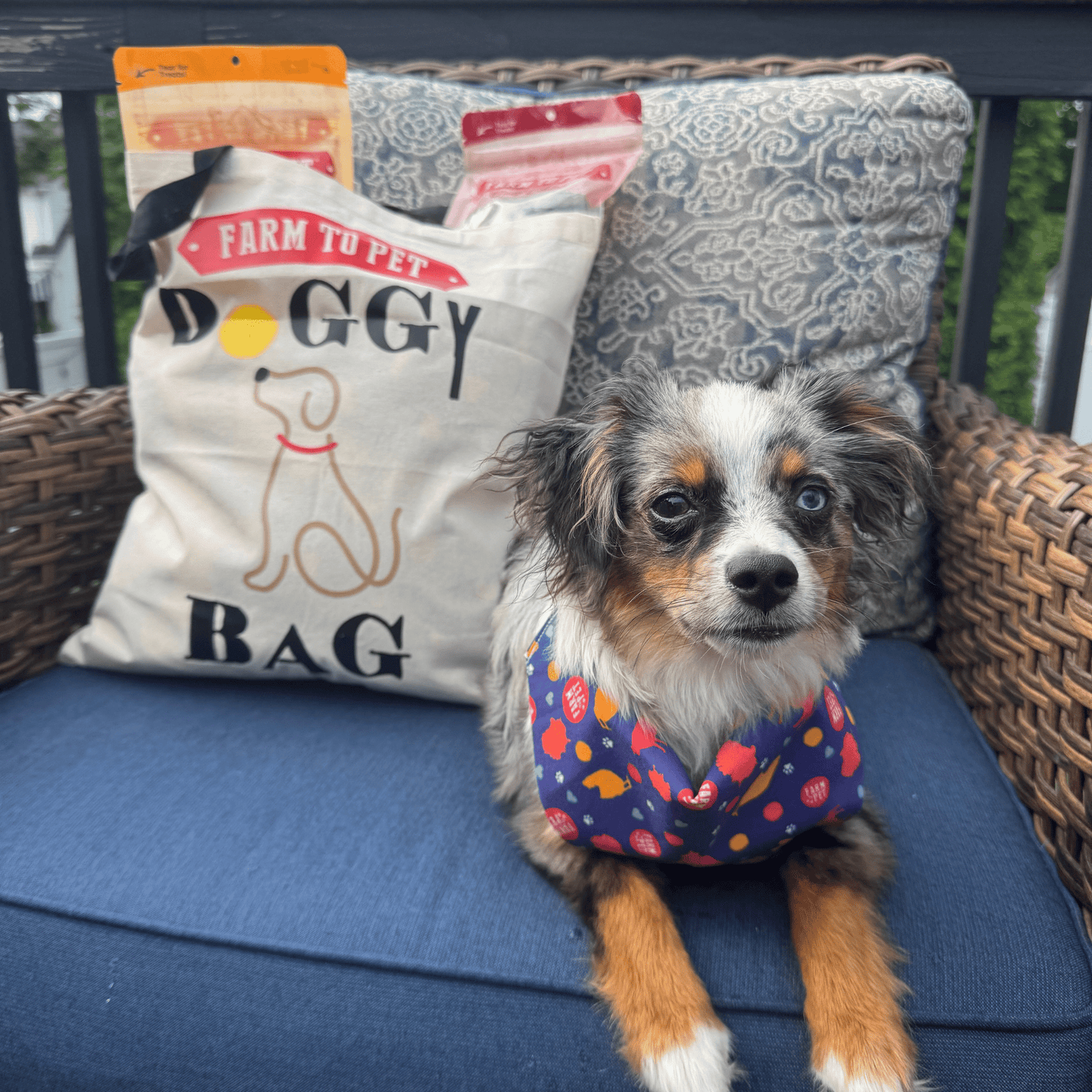 Farm To Pet Tote Bag