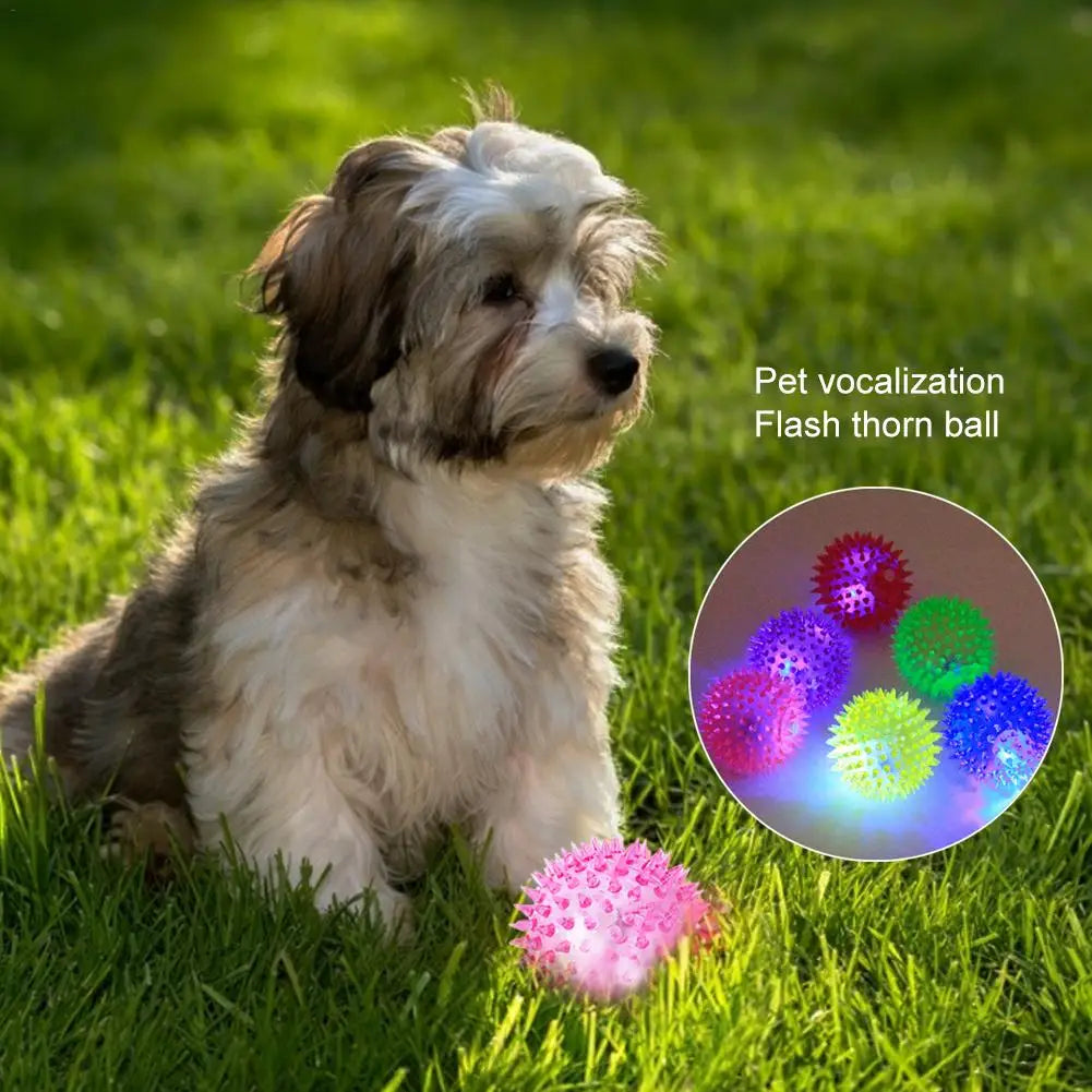 Luminous Dog Chewing Ball Toy