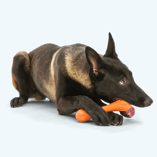 Hurley the Super Tough Chew Bone