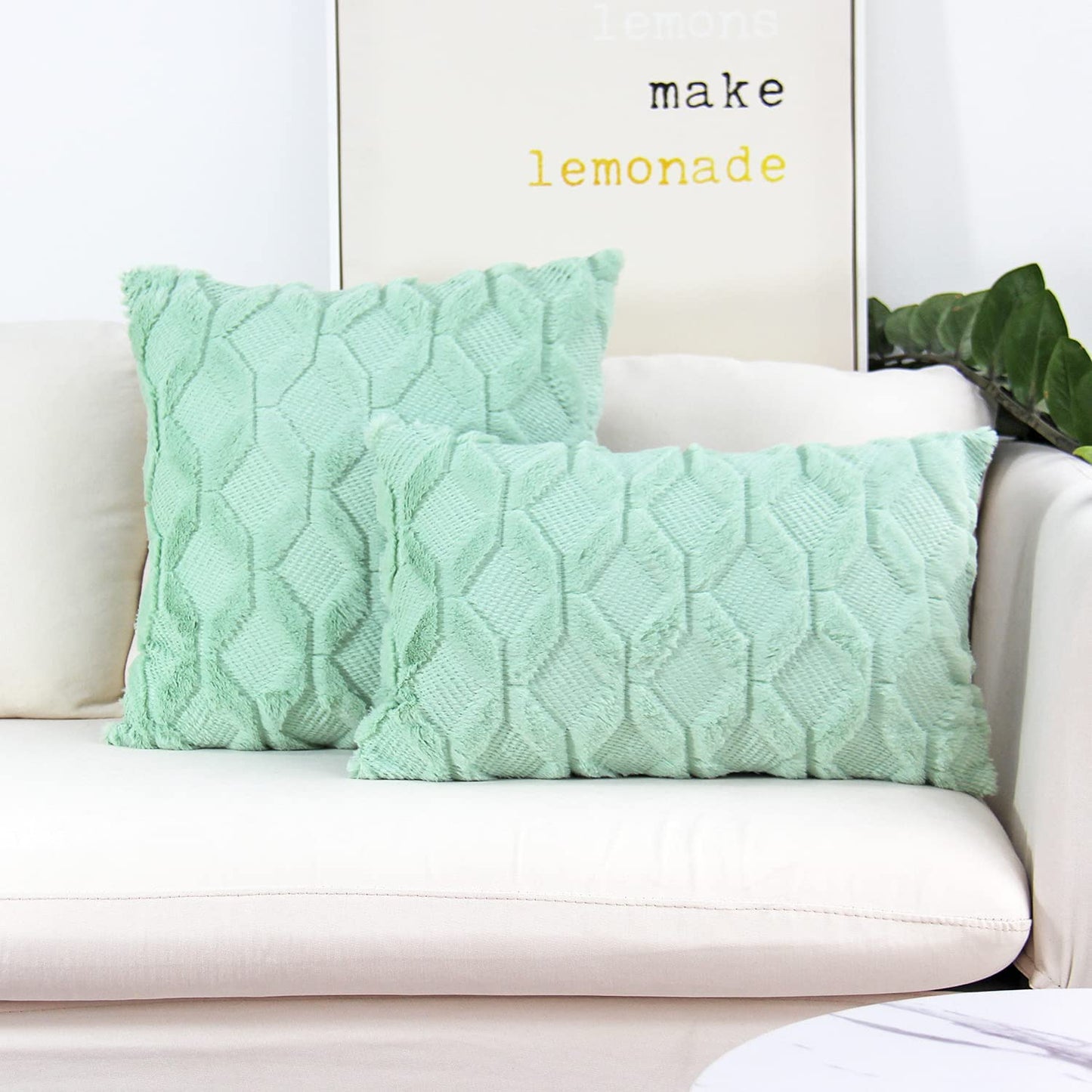 Set of Combo Pillow Covers with Inserts
