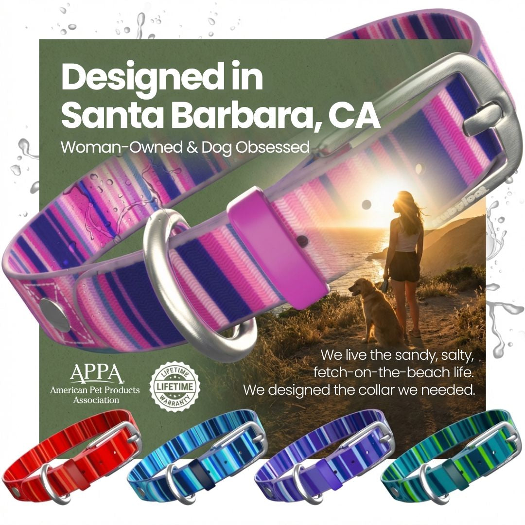 Colorful Waterproof Dog Collar