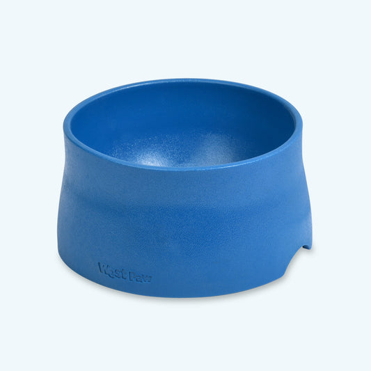 Non-Slip Dog Bowl