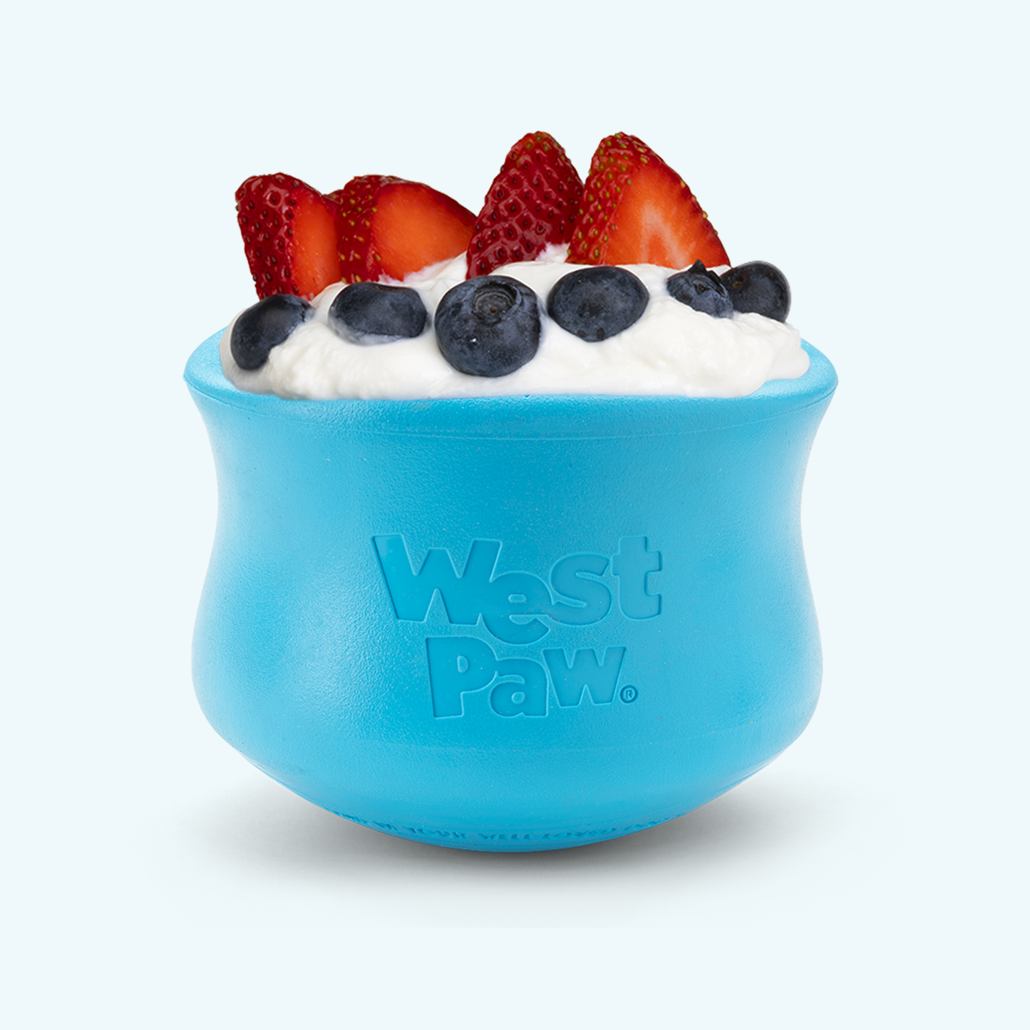 Dog Slow Feeder/Treat Toy