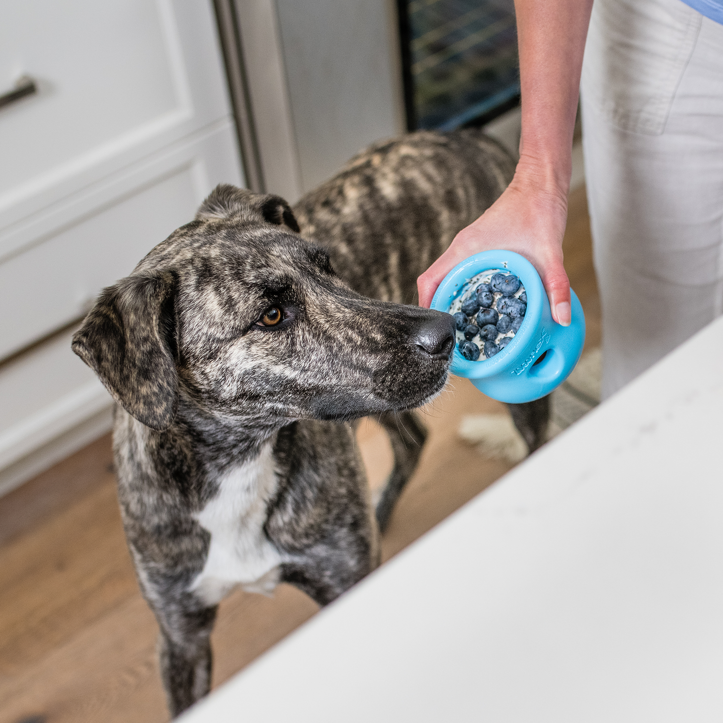Dog Slow Feeder/Treat Toy