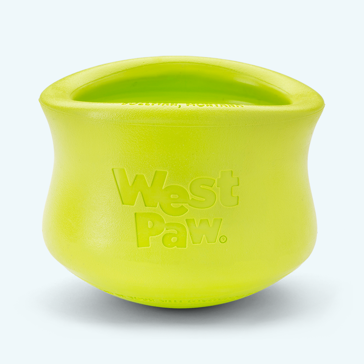 Dog Slow Feeder/Treat Toy