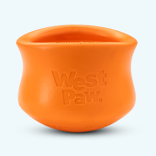 Dog Slow Feeder/Treat Toy