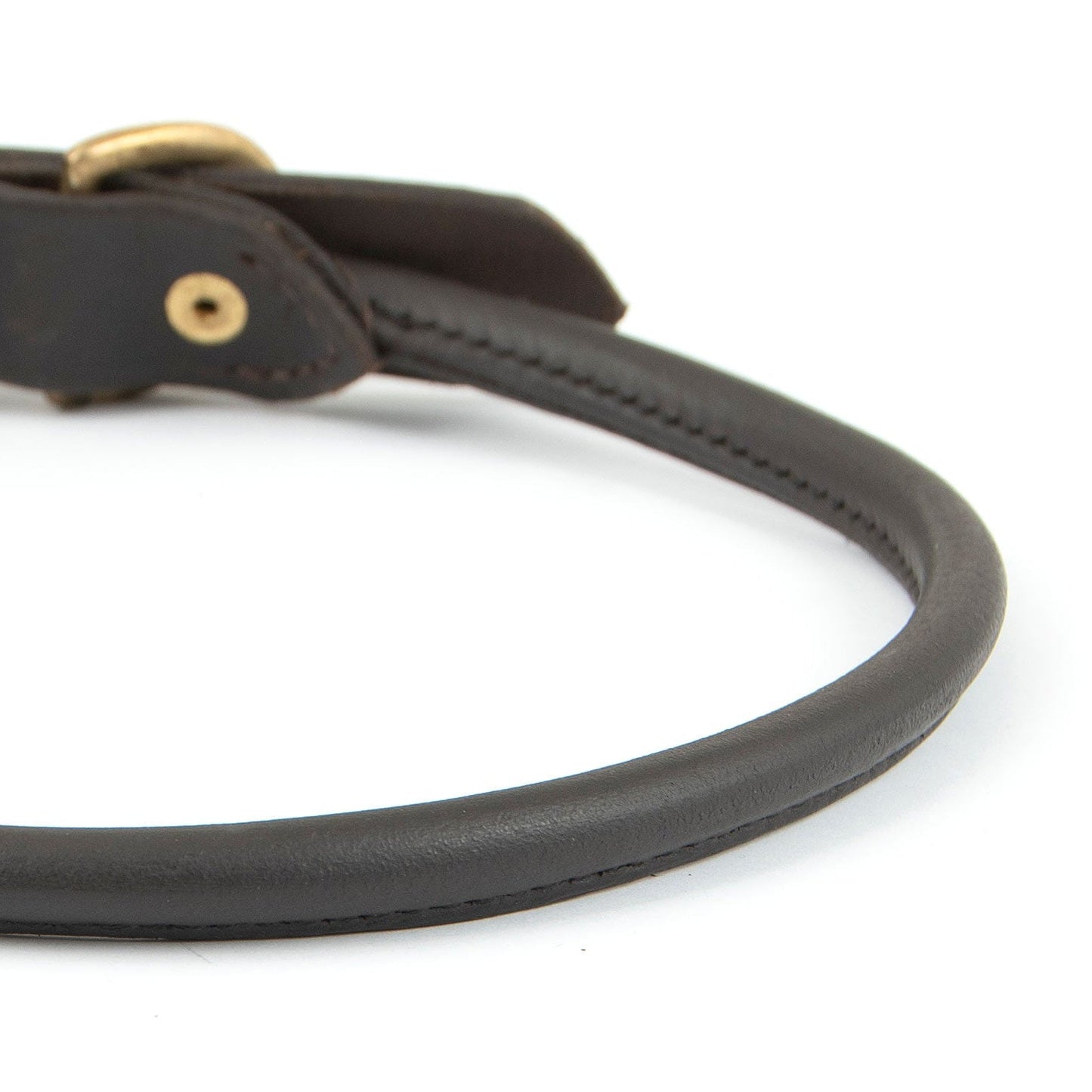 Leather Dog Collar with Brass Hardware