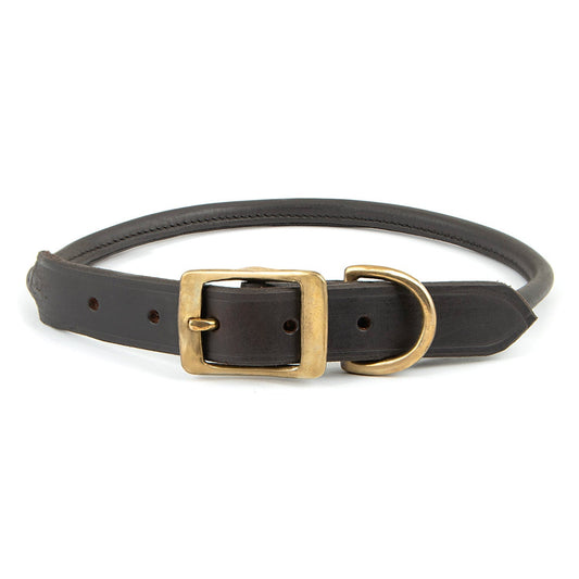 Leather Dog Collar with Brass Hardware